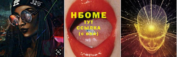 дмт Осташков