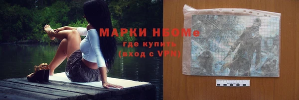 дмт Осташков