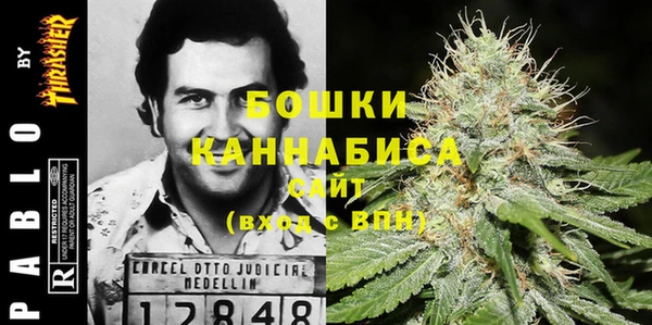 винт Осинники