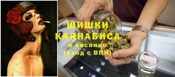 шишки Анива