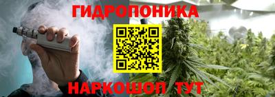 ПСИЛОЦИБИНОВЫЕ ГРИБЫ Пугачёв