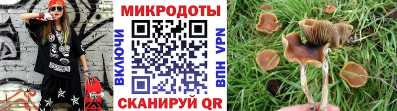 kraken ССЫЛКА  наркотики  Ханты-Мансийск  Галлюциногенные грибы ЛСД 
